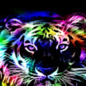 Meet your Posher, Sasha